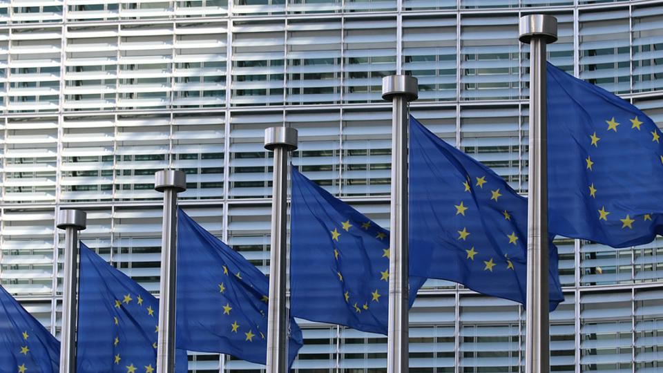 European Union flags